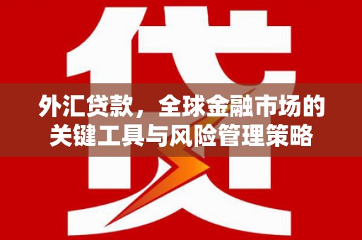 大内外汇贷款，全球金融市场的关键工具与风险管理策略