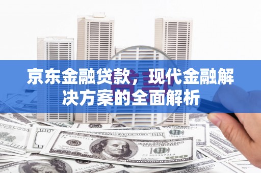 大内京东金融贷款，现代金融解决方案的全面解析