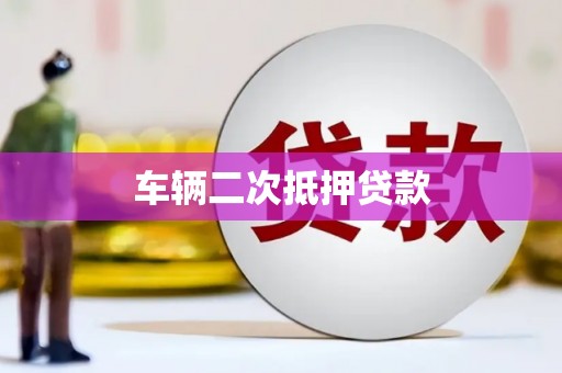 大内车辆二次抵押贷款