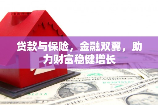 大内贷款与保险，金融双翼，助力财富稳健增长