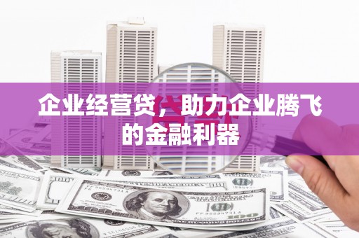 大内企业经营贷，助力企业腾飞的金融利器