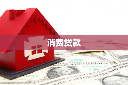 大内消费贷款