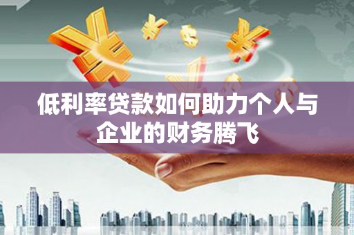 大内低利率贷款如何助力个人与企业的财务腾飞
