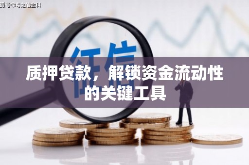 大内质押贷款，解锁资金流动性的关键工具