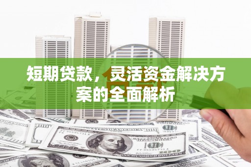 大内短期贷款，灵活资金解决方案的全面解析
