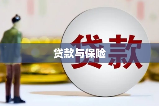大内贷款与保险