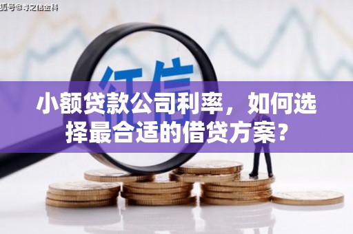 大内小额贷款公司利率，如何选择最合适的借贷方案？