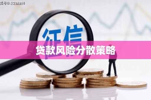 大内贷款风险分散策略