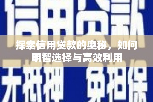 大内探索信用贷款的奥秘，如何明智选择与高效利用