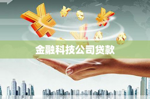 大内金融科技公司贷款