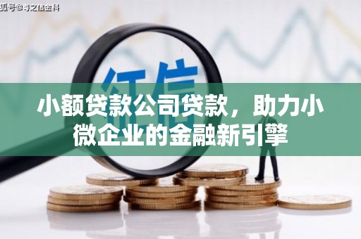 大内小额贷款公司贷款，助力小微企业的金融新引擎