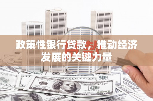 大内政策性银行贷款，推动经济发展的关键力量