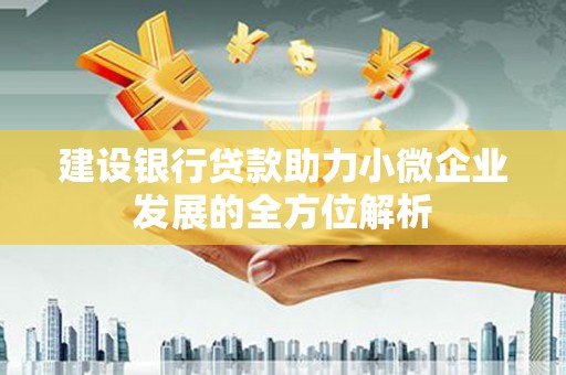 大内建设银行贷款助力小微企业发展的全方位解析