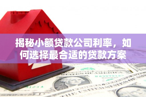 大内揭秘小额贷款公司利率，如何选择最合适的贷款方案