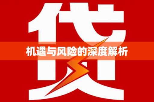 大内机遇与风险的深度解析