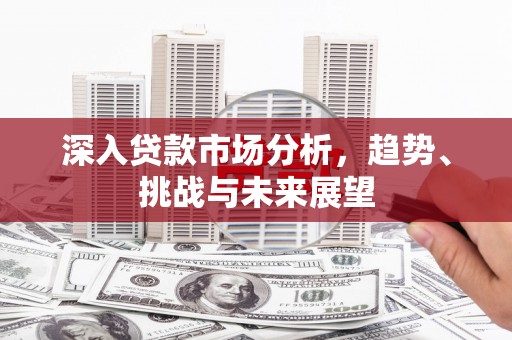大内深入贷款市场分析，趋势、挑战与未来展望
