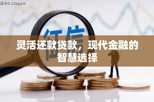 大内灵活还款贷款，现代金融的智慧选择