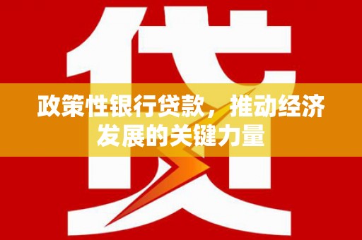 大内政策性银行贷款，推动经济发展的关键力量