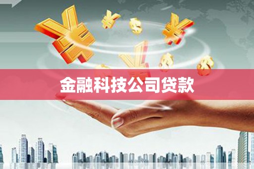 大内金融科技公司贷款