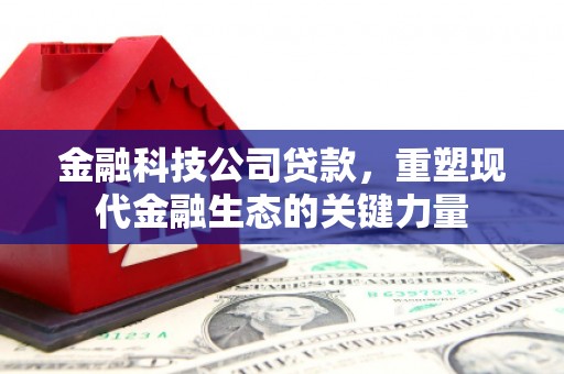 大内金融科技公司贷款，重塑现代金融生态的关键力量