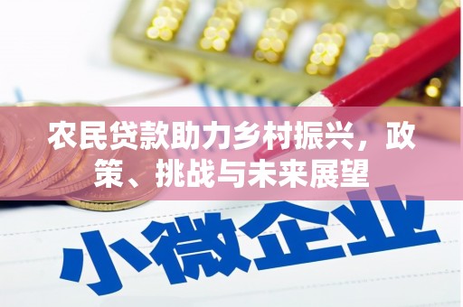 大内农民贷款助力乡村振兴，政策、挑战与未来展望