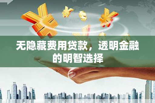 大内无隐藏费用贷款，透明金融的明智选择