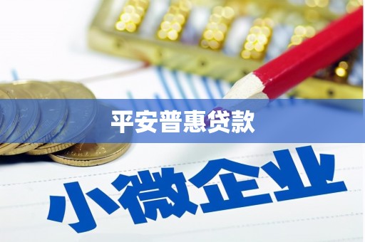 大内平安普惠贷款