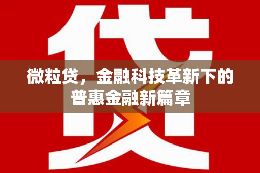 大内微粒贷，金融科技革新下的普惠金融新篇章