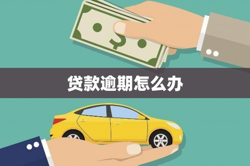 大内贷款逾期怎么办