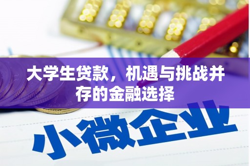 大内大学生贷款，机遇与挑战并存的金融选择