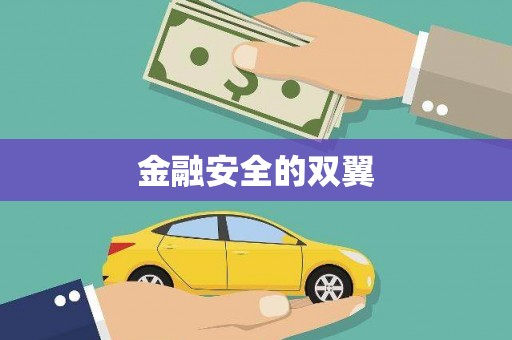 大内金融安全的双翼