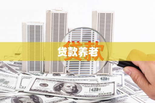 大内贷款养老