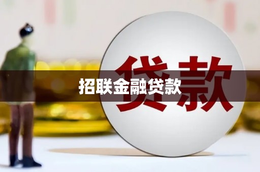 大内招联金融贷款