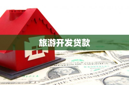 大内旅游开发贷款