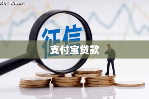 大内支付宝贷款