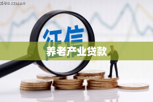 大内养老产业贷款