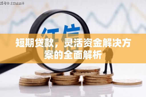 大内短期贷款，灵活资金解决方案的全面解析