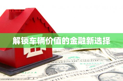 大内解锁车辆价值的金融新选择