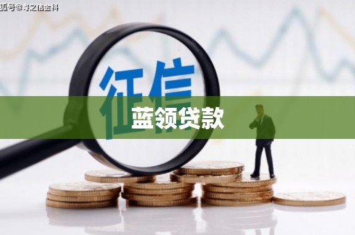 大内蓝领贷款