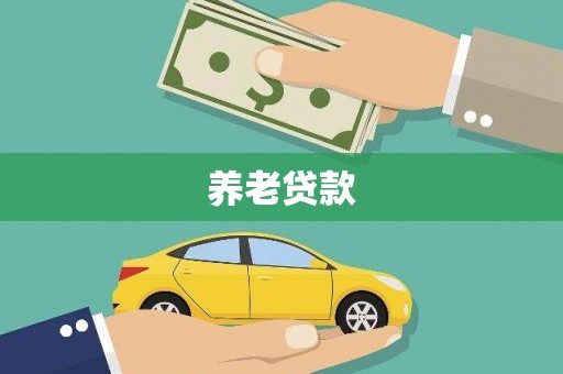 大内养老贷款
