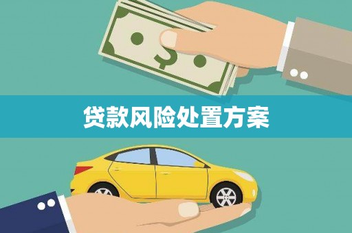 大内贷款风险处置方案