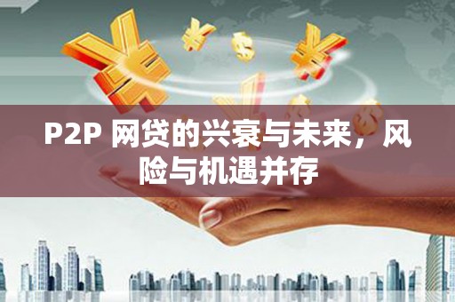 大内P2P 网贷的兴衰与未来，风险与机遇并存
