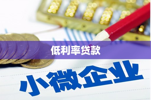 大内低利率贷款