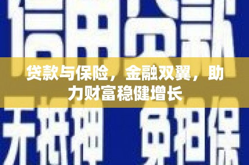 大内贷款与保险，金融双翼，助力财富稳健增长