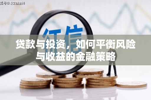 大内贷款与投资，如何平衡风险与收益的金融策略
