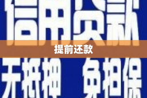 大内提前还款
