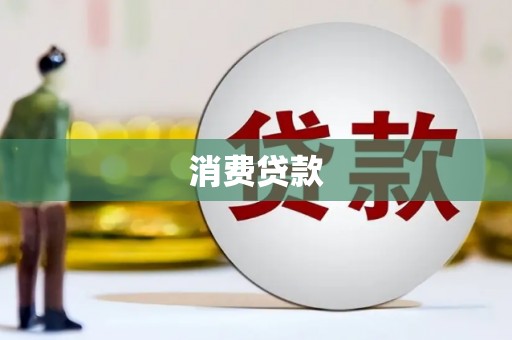 大内消费贷款