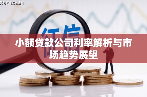 大内小额贷款公司利率解析与市场趋势展望