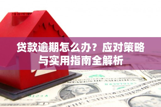 大内贷款逾期怎么办？应对策略与实用指南全解析