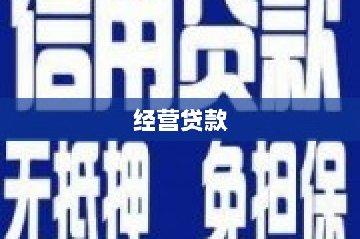 大内经营贷款